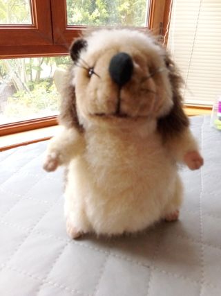 Peluche erizo Génesis