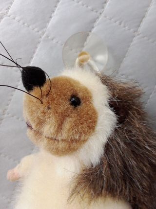 Peluche erizo Génesis