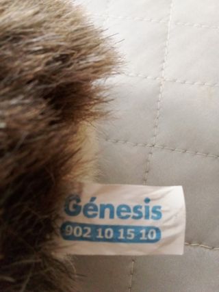 Peluche erizo Génesis