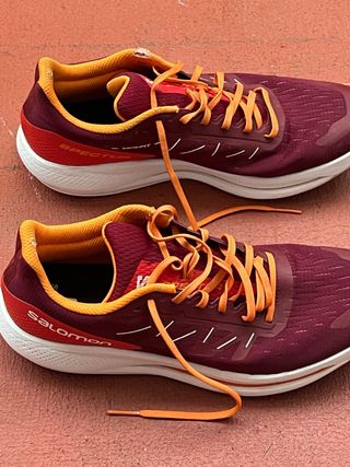 Zapatillas Salomon Spectur 46