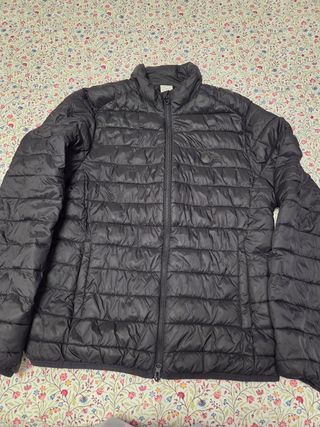 Chaqueta acolchada Scalpers negra