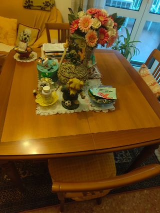 Tavolo allungabile legno + 6 sedie