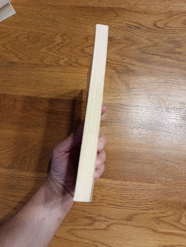 Todo lo que podríamos haber sido tú y yo si no ...