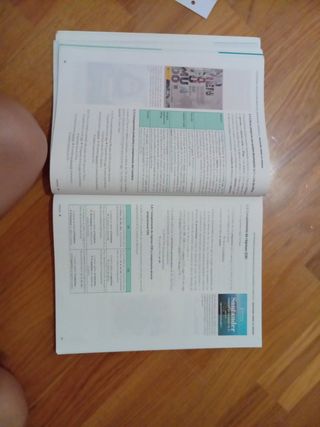 Lengua castellana y Literatura 1 BA LOMLOE
