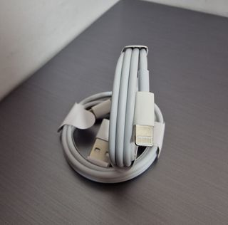 Caricabatterie originali per iPhone