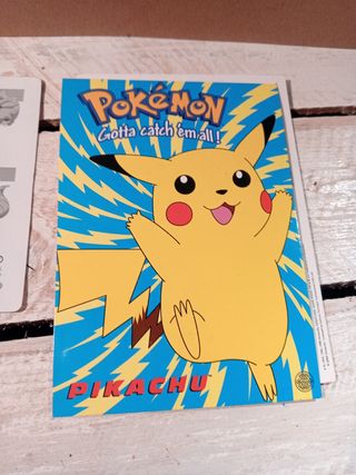 Lote Pokémon: 1 carta+2 postales+ libro reglas