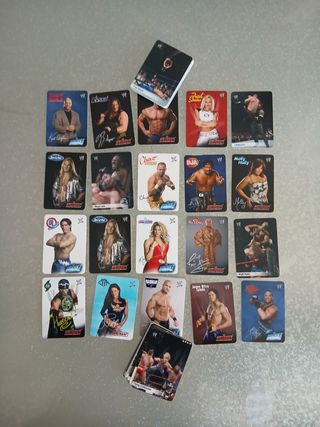 Carte Wrestling WWE - 52 pezzi
