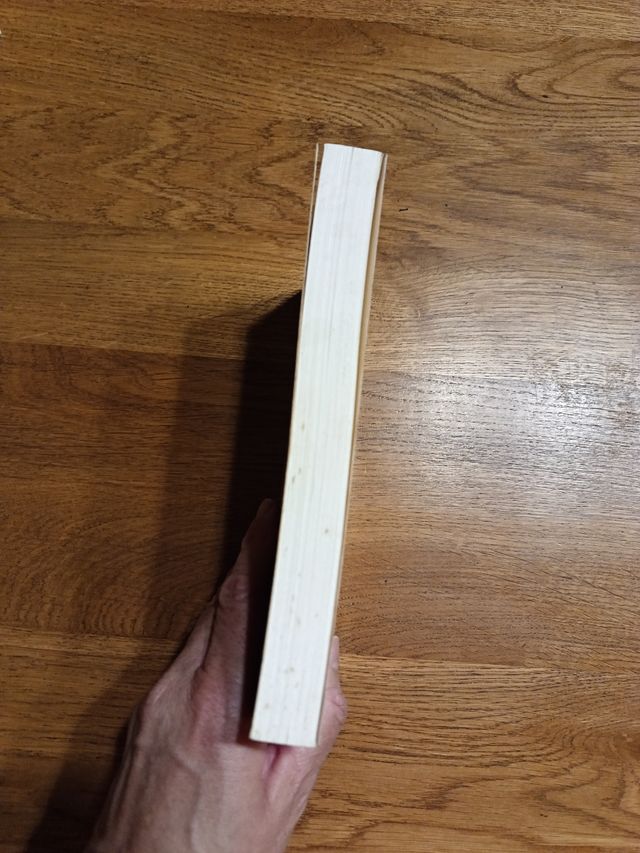 Cometas en el cielo/ The Kite Runner (Letras de...