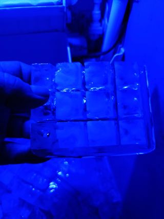Máquina hielo VEVOR
