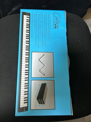 Piano plegable Carry-on 88