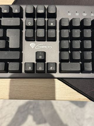 Teclado Genesis Thor 303RGB - Negro