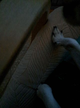 Retales de tela