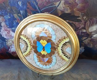 Quadro vintage farfalle