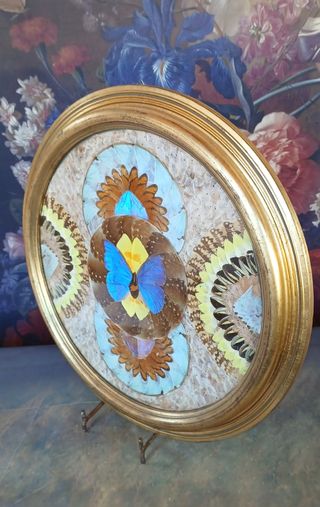 Quadro vintage farfalle