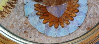 Quadro vintage farfalle