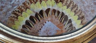 Quadro vintage farfalle