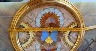 Quadro vintage farfalle