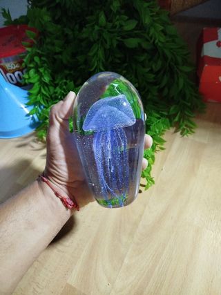 Medusa cristal: Decoración elegante