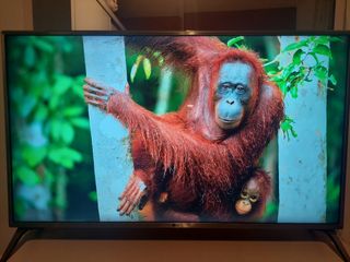 TV LG 43" 4k UltraHD. 43uj651v