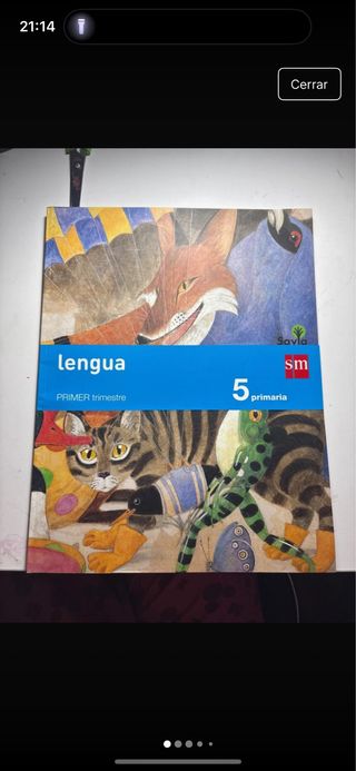 lengua castellana 