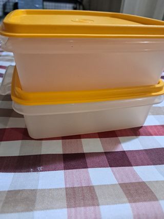 2 Contenitori per alimenti Tupperware