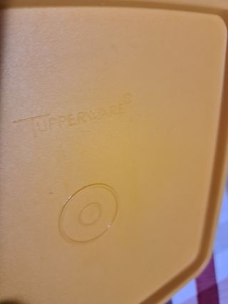 2 Contenitori per alimenti Tupperware