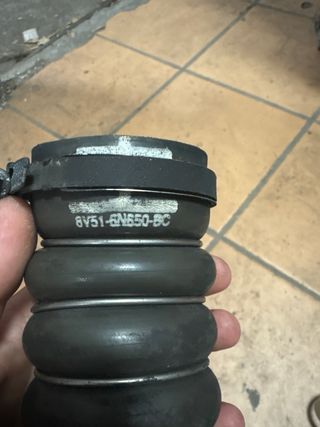Tubo flexible Ford - 951559480