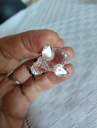 Foca Swarovski Cristallo