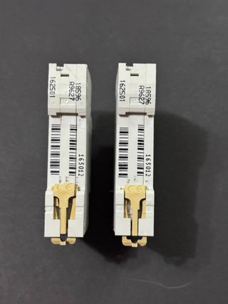 2 Interruttori Merlin Gerin Multi9 DPNa C16