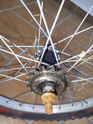 Ruota posteriore per bici BMX da 20" 