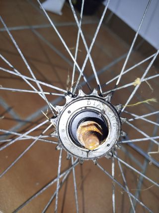 Ruota posteriore per bici BMX da 20" 