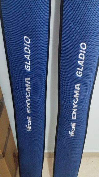 2 Cañas de pescar Vercelli Enygma Gladio