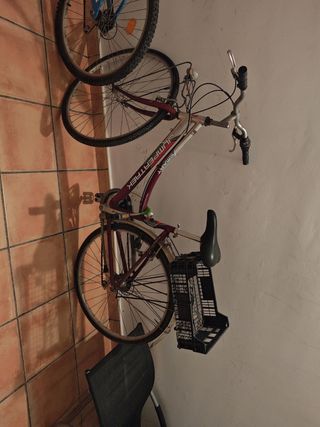 Bicicleta Smart Jump Trek
