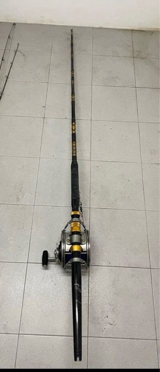 Caña Pesca Curricán 