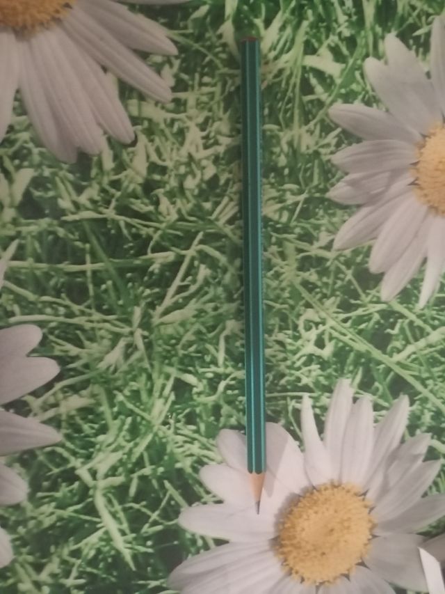 Lápiz Othello 282 Schwan-Stabilo