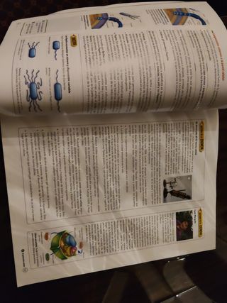 Biología 2 Bachillerato Nueva etapa Bruño