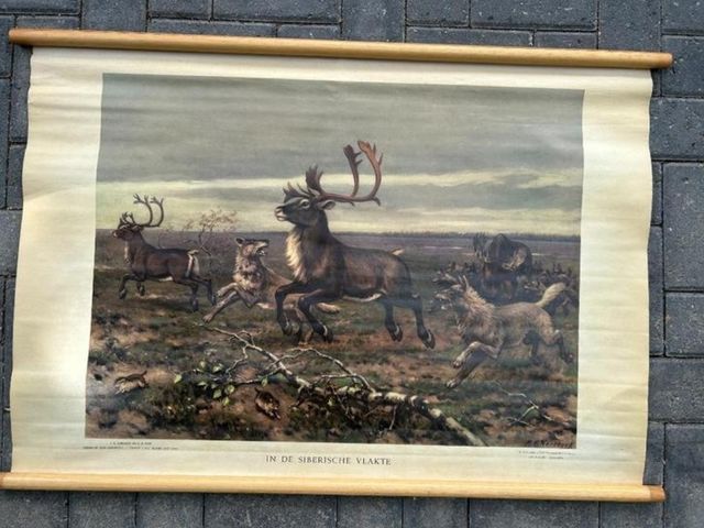 Mural escolar antiguo de ciervos y lobos