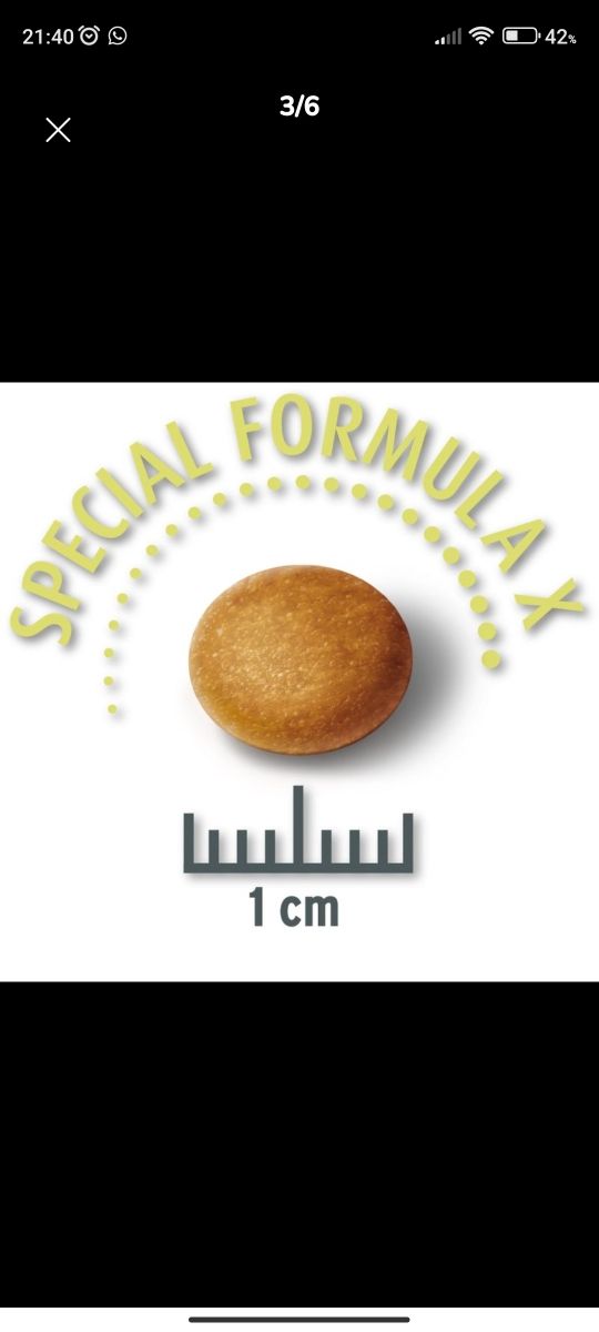 Crocchette Concept for Life sensitive 8kg