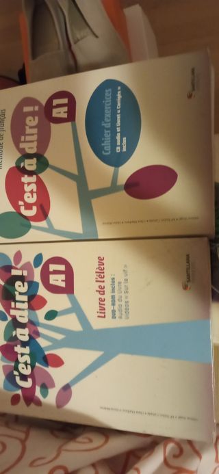 C'EST A DIRE A1 LIVRE ELEVE