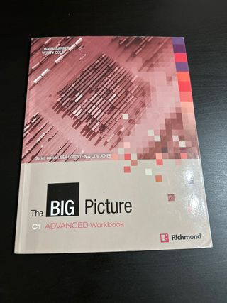 BIG PICTURE 5 WORKBOOK+CD ADVANCED [C1]