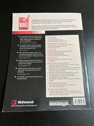 BIG PICTURE 5 WORKBOOK+CD ADVANCED [C1]