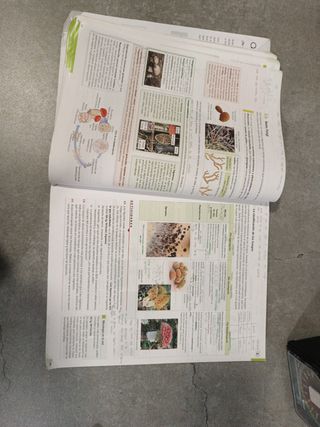 Biología, Geología y Ciencias Ambientales 1.º B...
