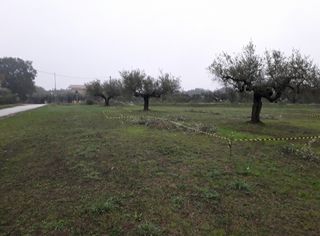 Terreno edificabile Cepagatti (PE)