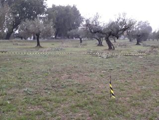 Terreno edificabile Cepagatti (PE)