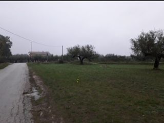 Terreno edificabile Cepagatti (PE)