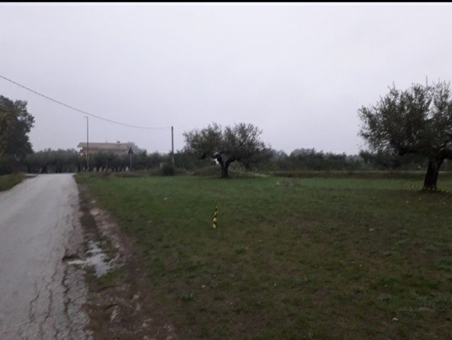 Terreno edificabile Cepagatti (PE)