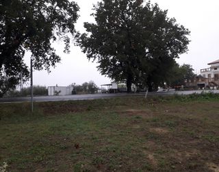 Terreno edificabile Cepagatti (PE)