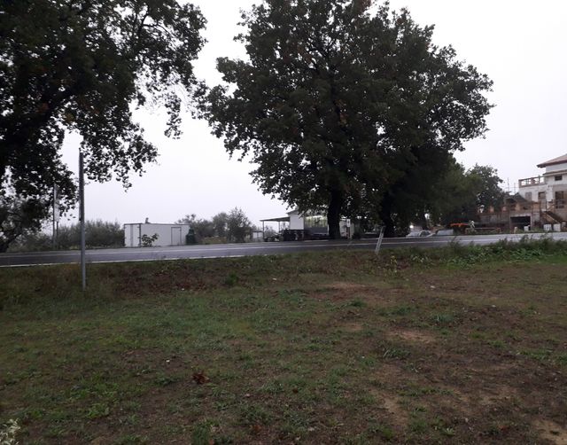 Terreno edificabile Cepagatti (PE)