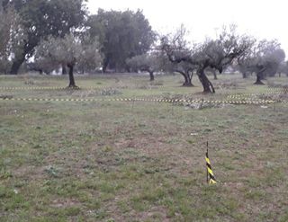 Terreno edificabile Cepagatti (PE)