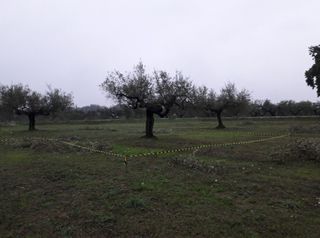 Terreno edificabile Cepagatti (PE)